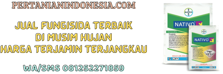 jual,murah,terjangkau,toko pertanian terdekat,pertanian indonesia